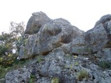 24. Park je okružen visokim stijenama i drvećem, kao da se G.Kotar preselio na Korčulu